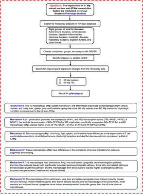 Twenty Novel Disease Group-Specific and 12 New Shared Macrophage Pathways in Eight Groups of 34 Diseases Including 24 Inflammatory Organ Diseases and 10 Types of Tumors